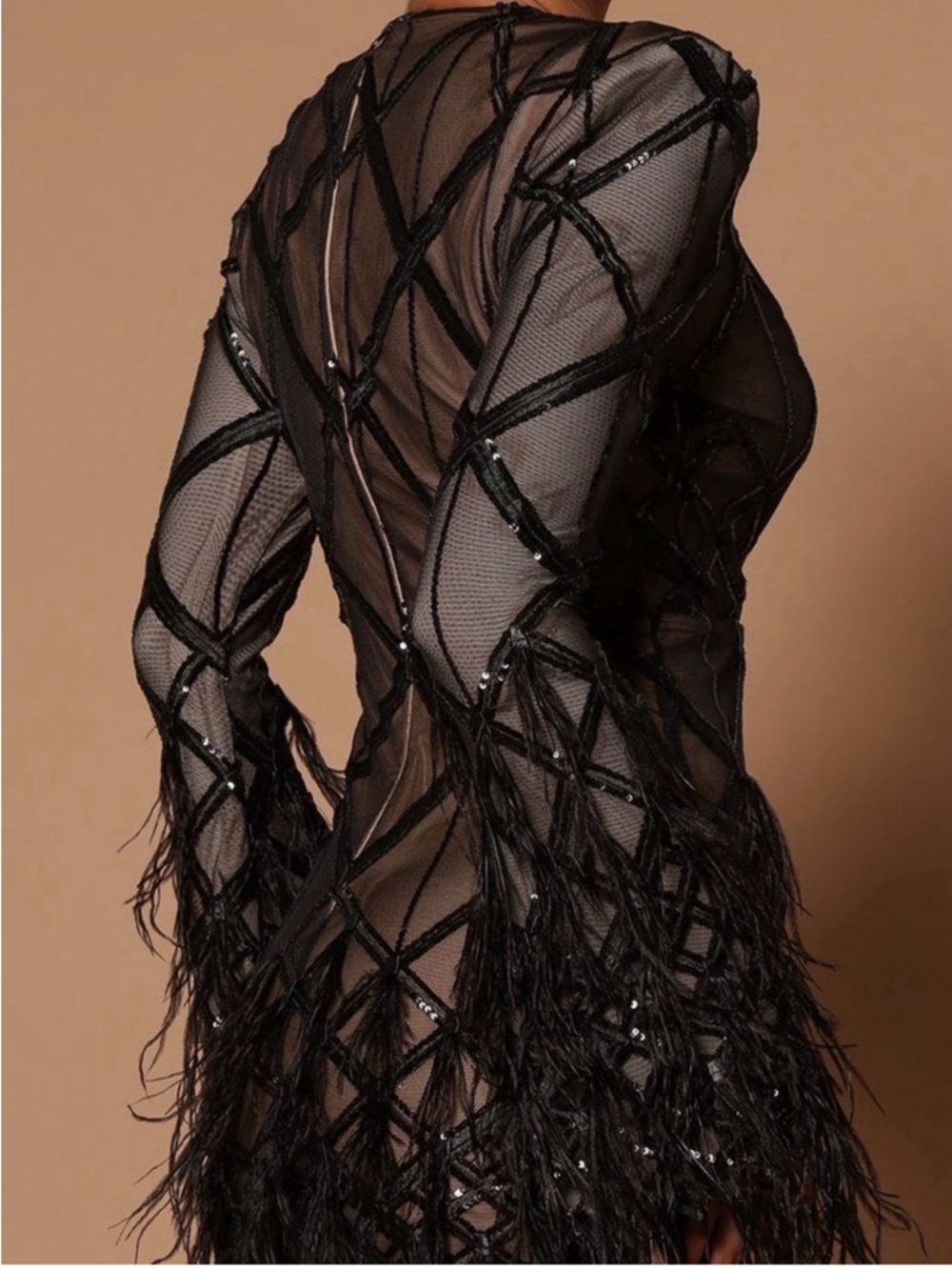 Fashion Nova Luxe Amber Deep V Embellished Feather Trim Mini Dress Black Small - Picture 3 of 11